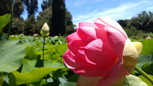 Occupy your mind with love