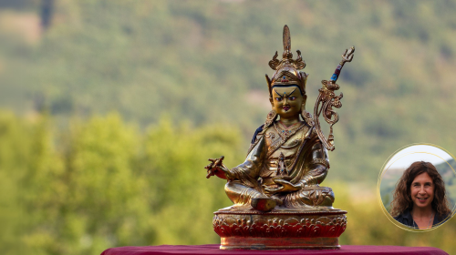 Session 14 February 2026 - For the Benefit of All Beings