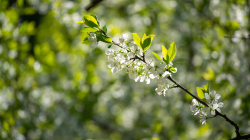 If everything changes, what is really true?