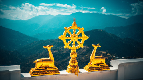 The path of cessation and cessation itself 